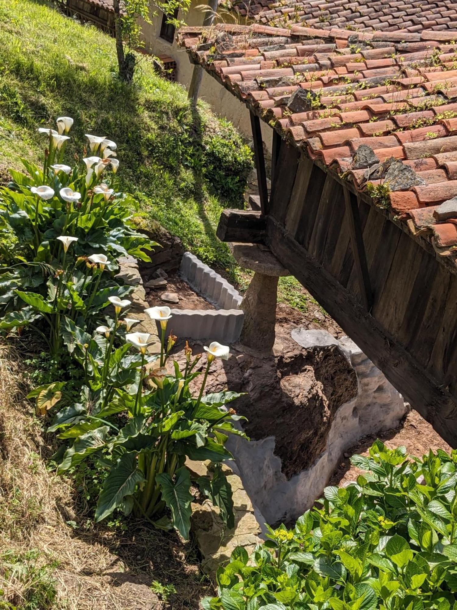 Las Casas De Isu Villaviciosa  Eksteriør bilde